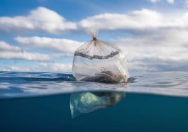 "Les microplastiques : menace invisible pour nos océans et notre santé"